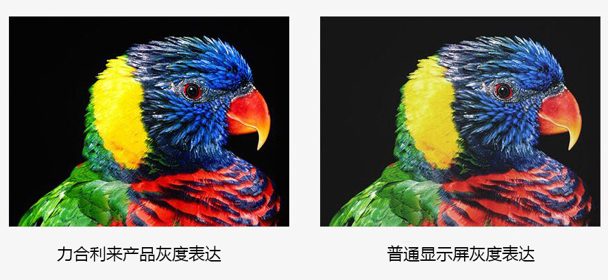 P1.8小間距l(xiāng)ed顯示屏 P1.8小間距l(xiāng)ed顯示屏